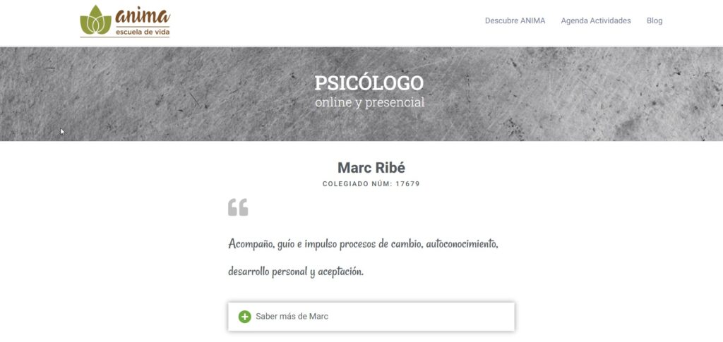 Diseño web para psicólogos 5